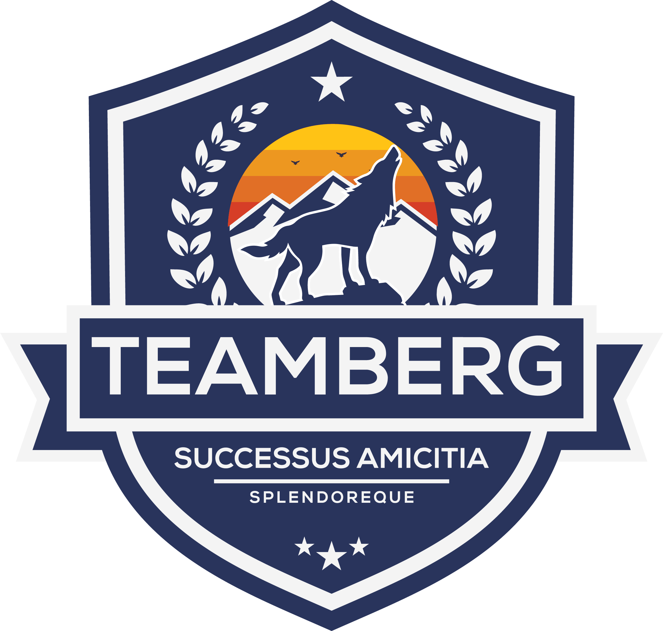 teamberg logga